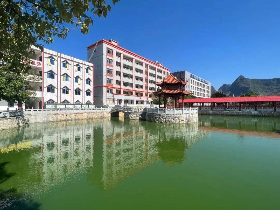 学校位于河池市都安县八仙开发区,占地面积10.2万平方米.