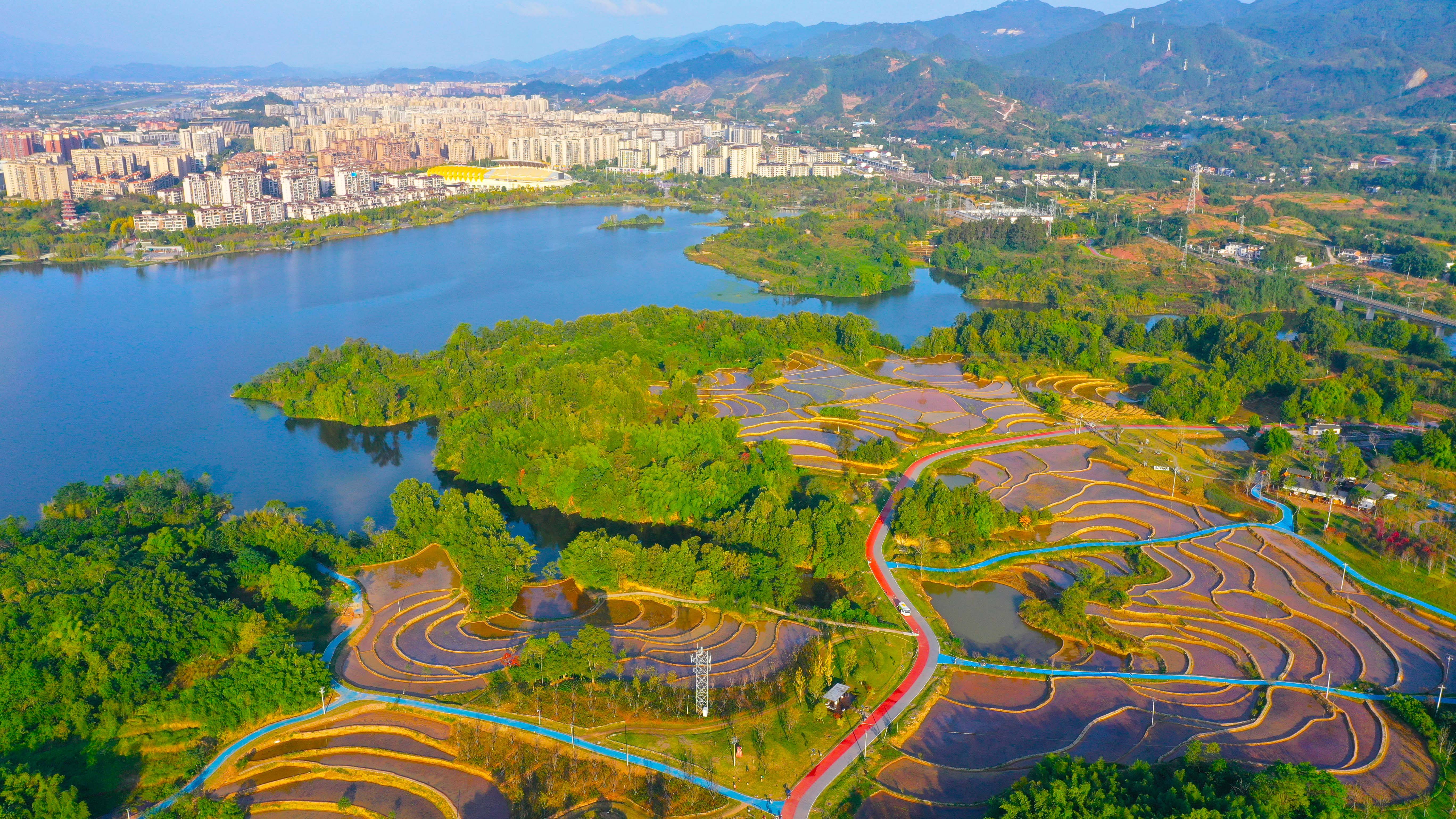 双桂湖画图片