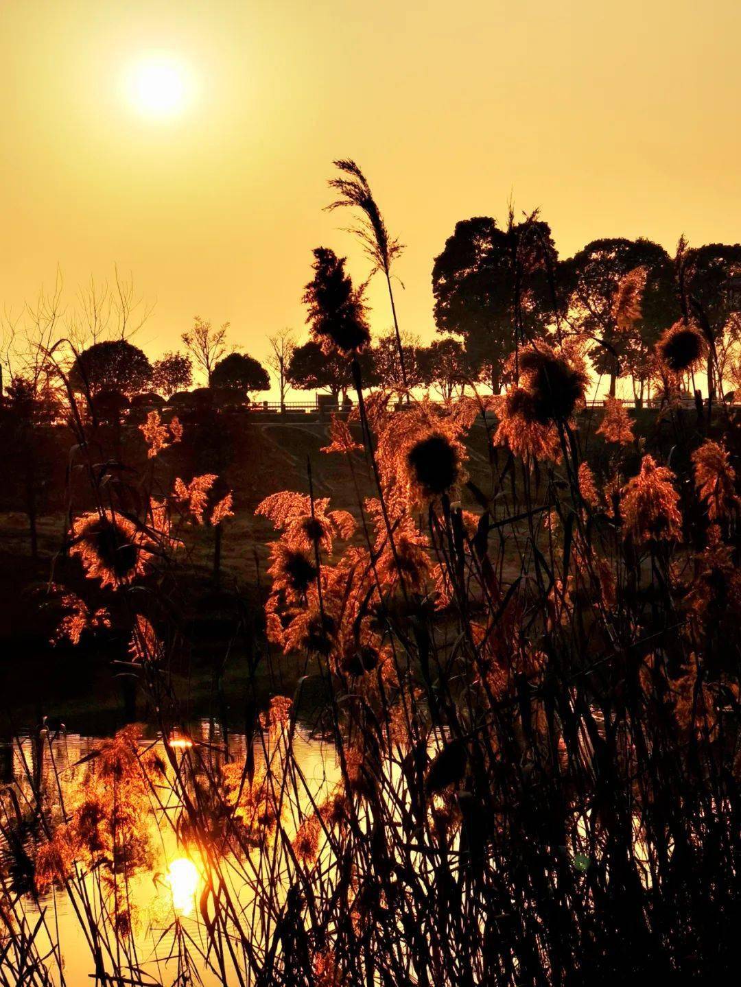 (科庸巴巴先生)六家畈2023首届新春民俗盛典火爆进行.