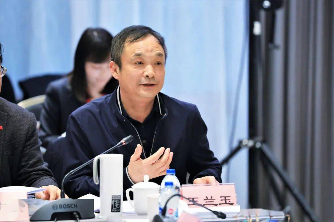 王兰玉:纵向,横向推进企业经营发展模式新变革_河钢_建设_结构性