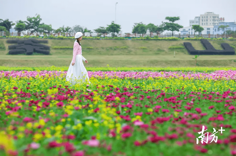 走，茶山看花海，相逢春日暖阳