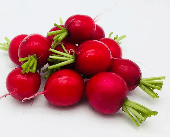 "蒲公英计划"鹤博士指尖艺术周第八期•折纸屋--圆萝卜_正方形_底部