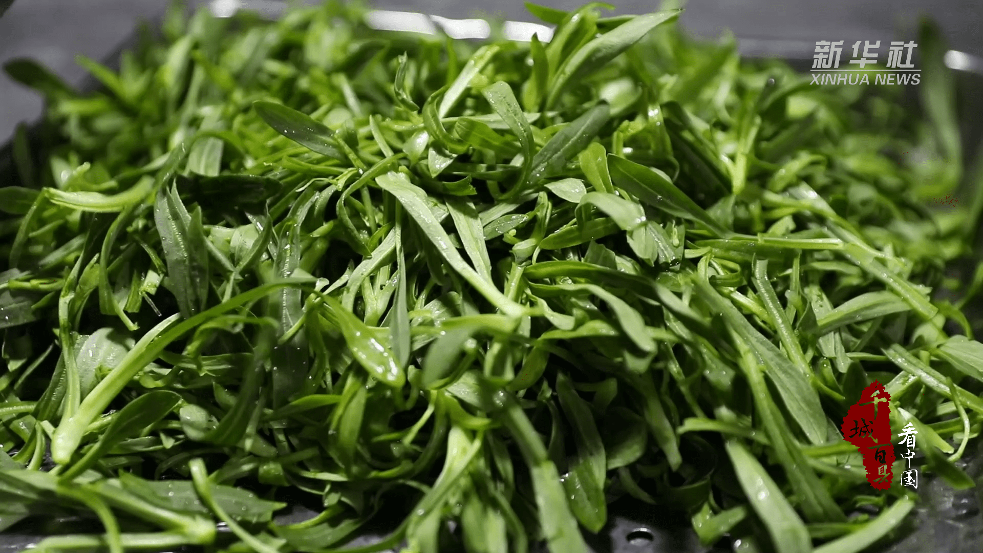 千城百县看中国｜食鲁味：蒸面条菜