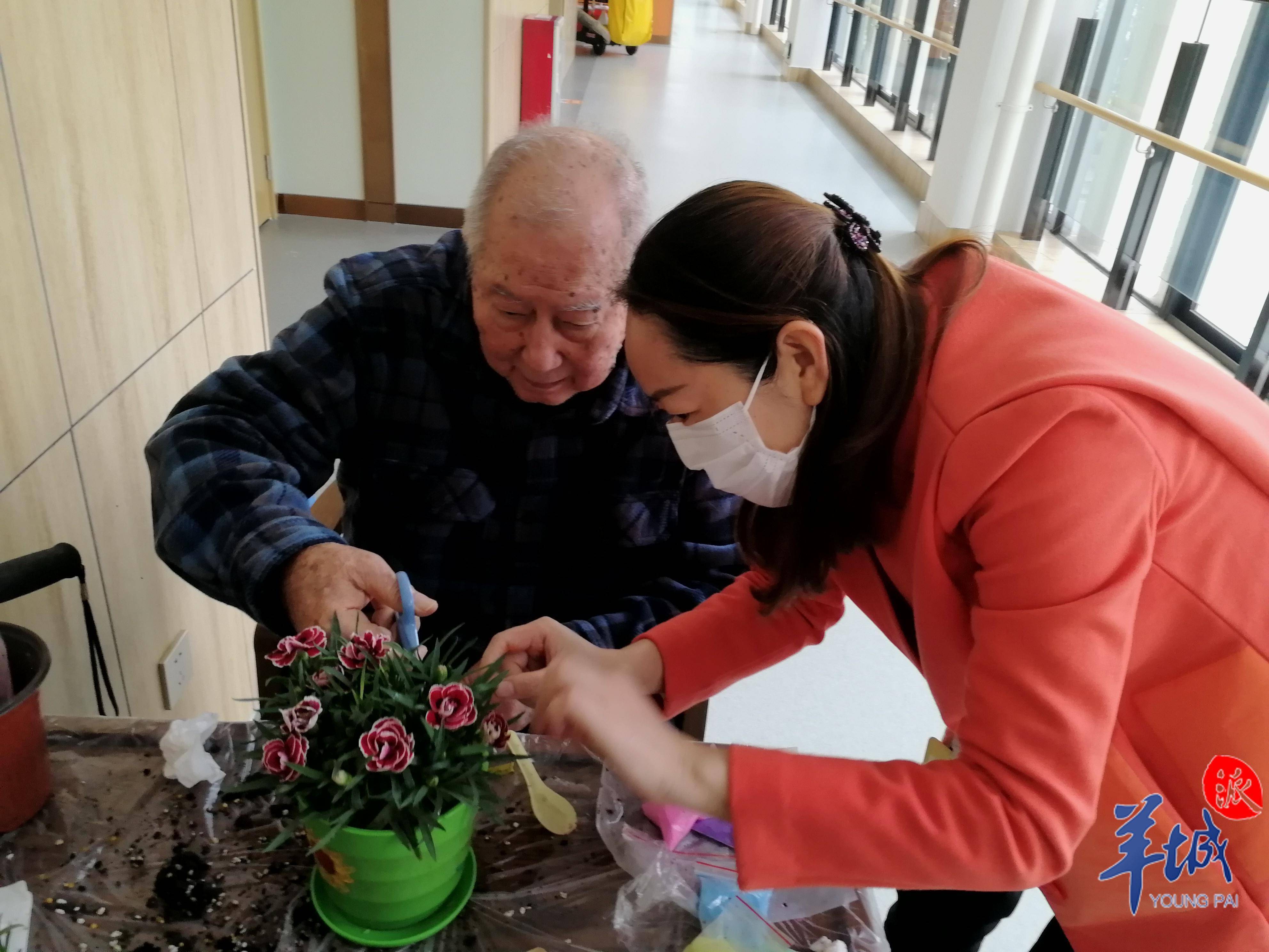 墙裂推荐（广东省自学考试管理系统）广东自学考试查询成绩查询 第1张