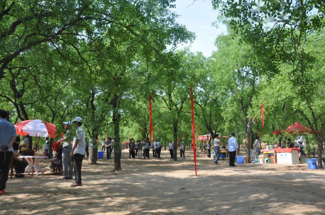 在大荔县沙苑景区内,游客正在滑沙"今年春节期间我们的沙滩摩托车生意
