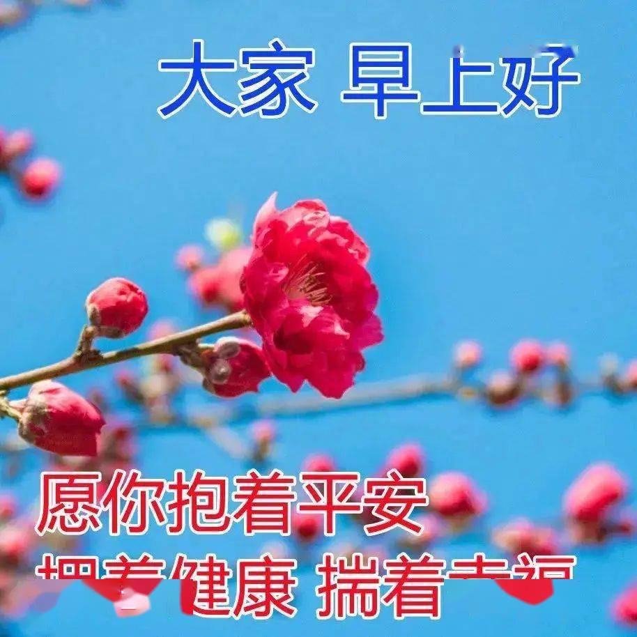 拥抱的男朋友和女朋友图库矢量图©blueringmedia 118000602, image size:914x914