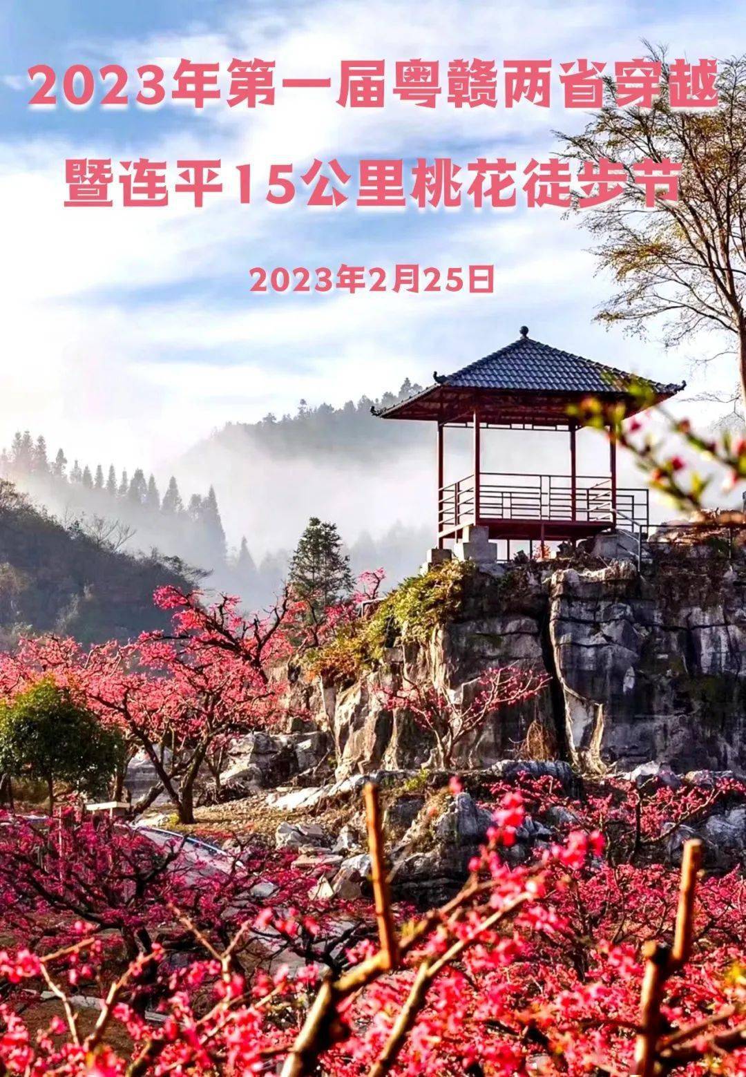 2022 广东连平桃花节图片