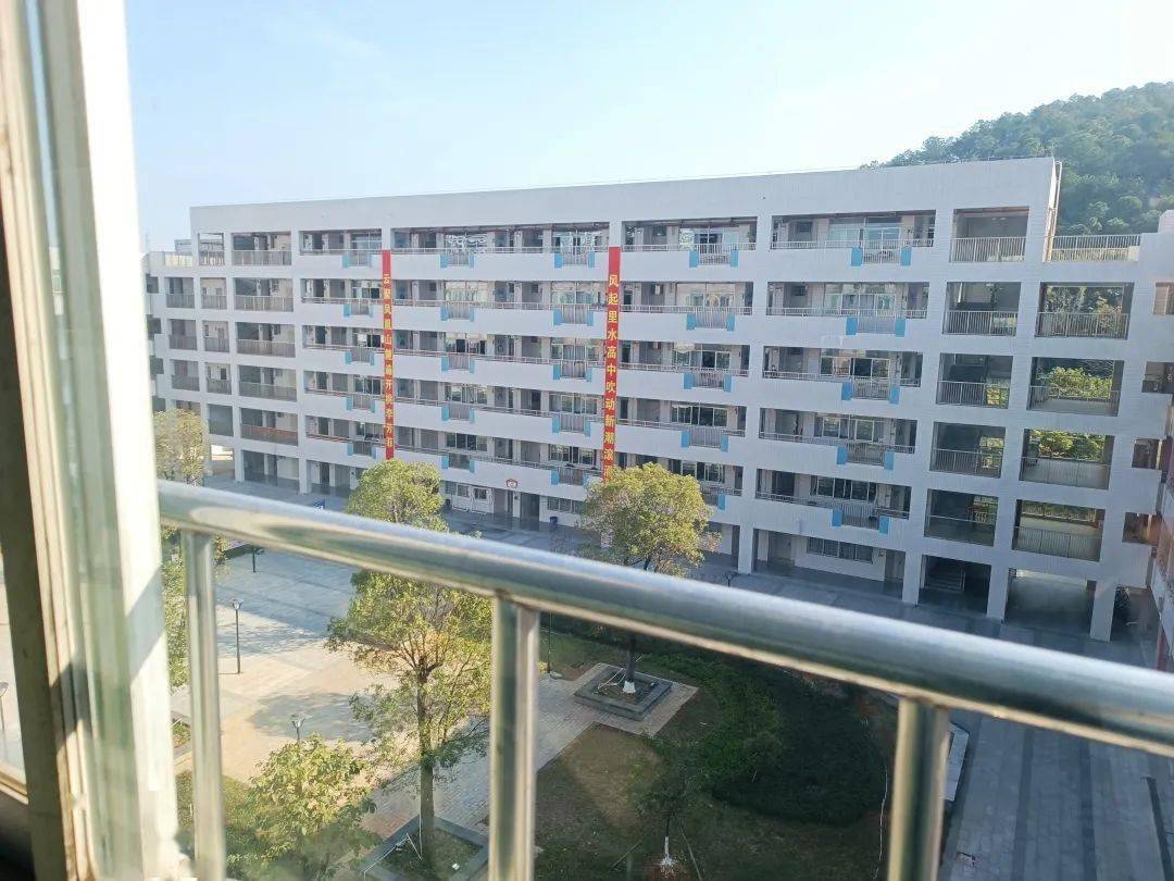 寒假回访母校 | 里水高级中学_互动_向未来_大学