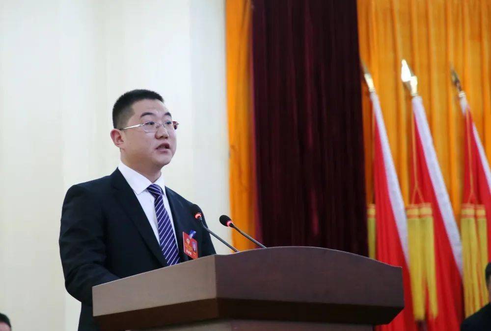 龙远培,洪伟,彭慧枝,姚俊先,周宣伊,张明,刘小宝7名委员分别就加强县