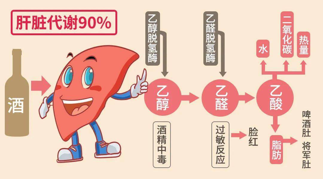 酒精代谢速度也不同 不同的人在不同时间和环境下 关