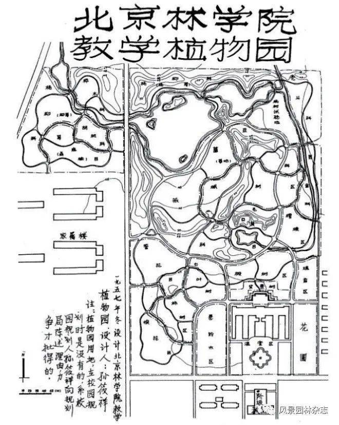 7 孙筱祥先生手绘的北林校园规划总平面图(左)及教学植物园规划设计图