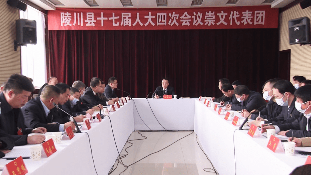 李晓峰参加县十七届人大四次会议分团讨论