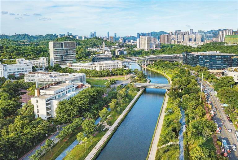 西丽湖国际科教城:越来越"犀利"的高质量发展引擎_深圳_创新_论坛