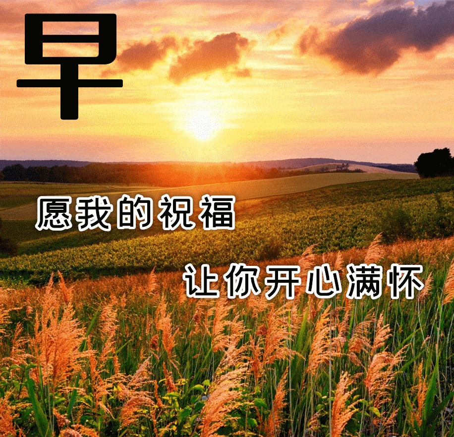 鲜花早上好表情包图片大全,祝大家事事顺心健康快乐!_一生_朋友_生活