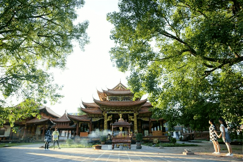 一天一點普洱(2647)春日出遊好去處,勐臥雙塔景區等你來!