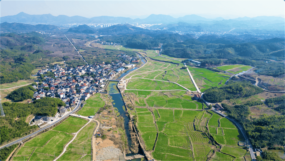 青山湖街道郎家村高云村空气清新,负氧离子含量高,村内古树参天.