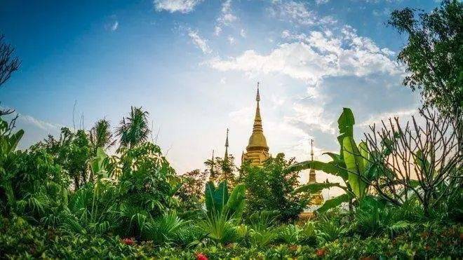 与旅同游 | 西双版纳_自然保护区_佛教_热带雨林