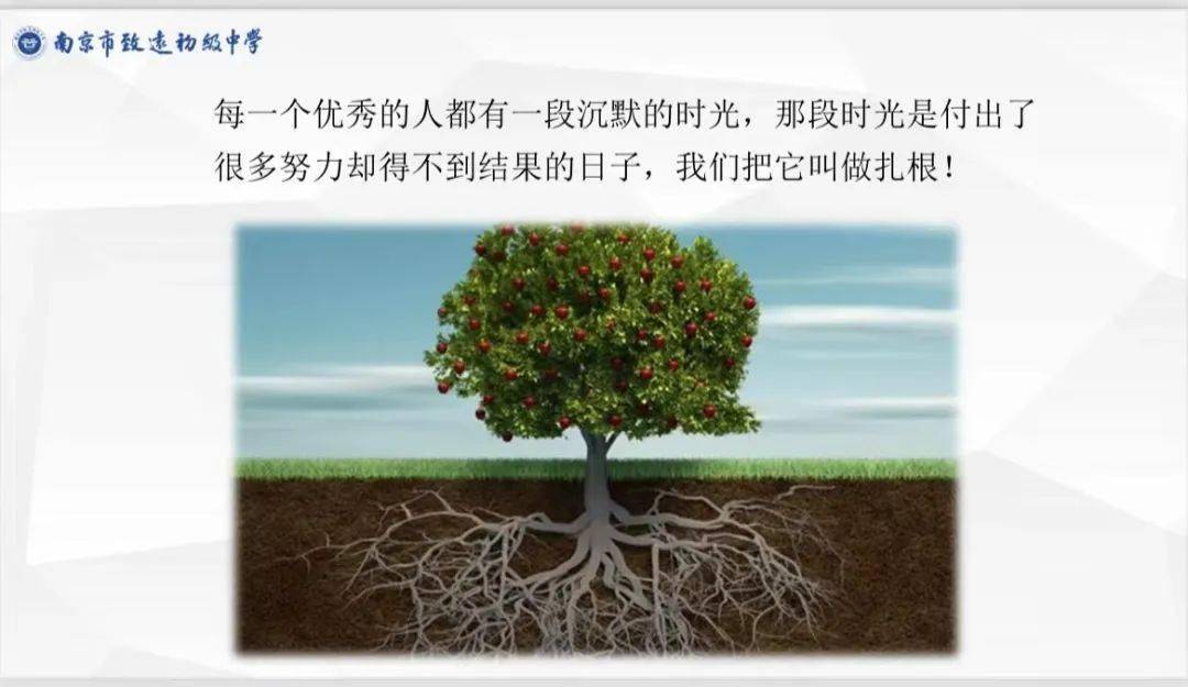 围观致远 | 向下扎根,新岁可期——九年级学生大会暨期末表彰大会_同学_进步_成绩