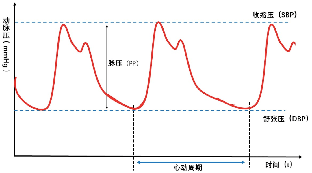 正常人一天血压曲线图图片