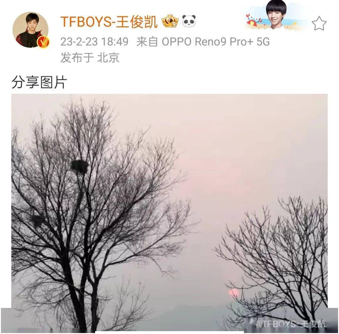 王俊凯晒黄昏随拍,冬日里"枯藤老树昏鸦"意境,你感受到了吗?