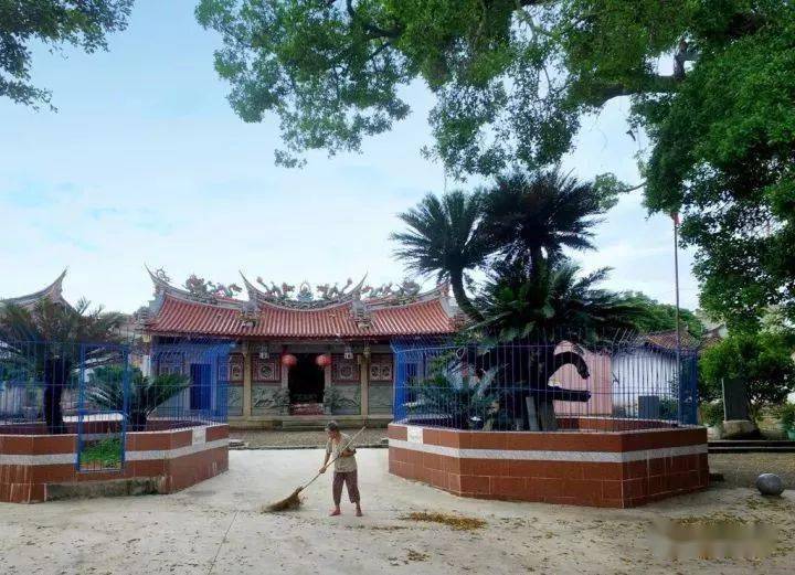 安溪县大坪乡有一棵树入选第五批"福建树王"!_位置_胸围_闽楠