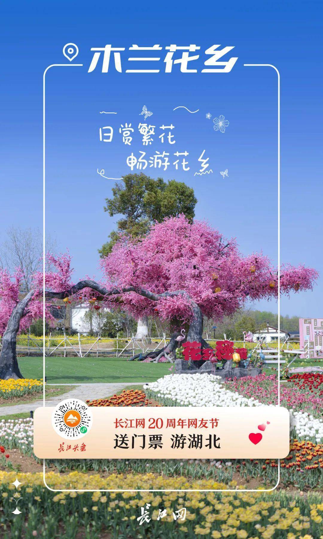 地点:黄陂区姚集街道木兰花乡旅游风景区票价:80元365天皆可观赏的