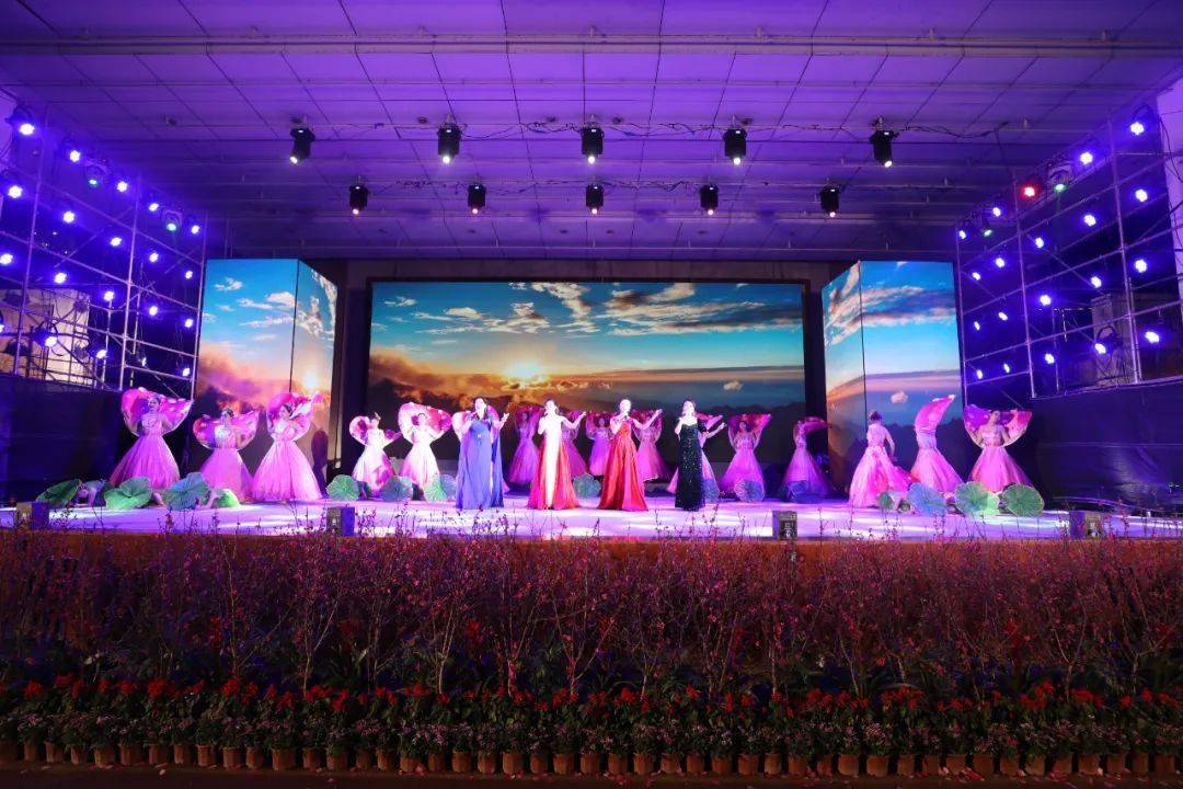 800架无人机闪亮连平夜空,"开"出最美桃花!_发展_活动_招商