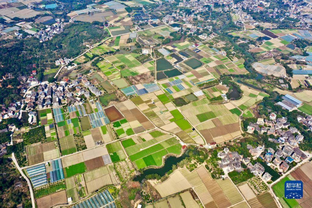 新華全媒 丨春耕大地上的畫卷_福州市_田地_永泰縣