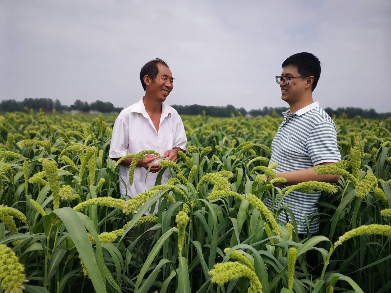 墩苗育苗工作系列报道|许昌市建安区榆林乡:向下扎根沃土 向上茁壮