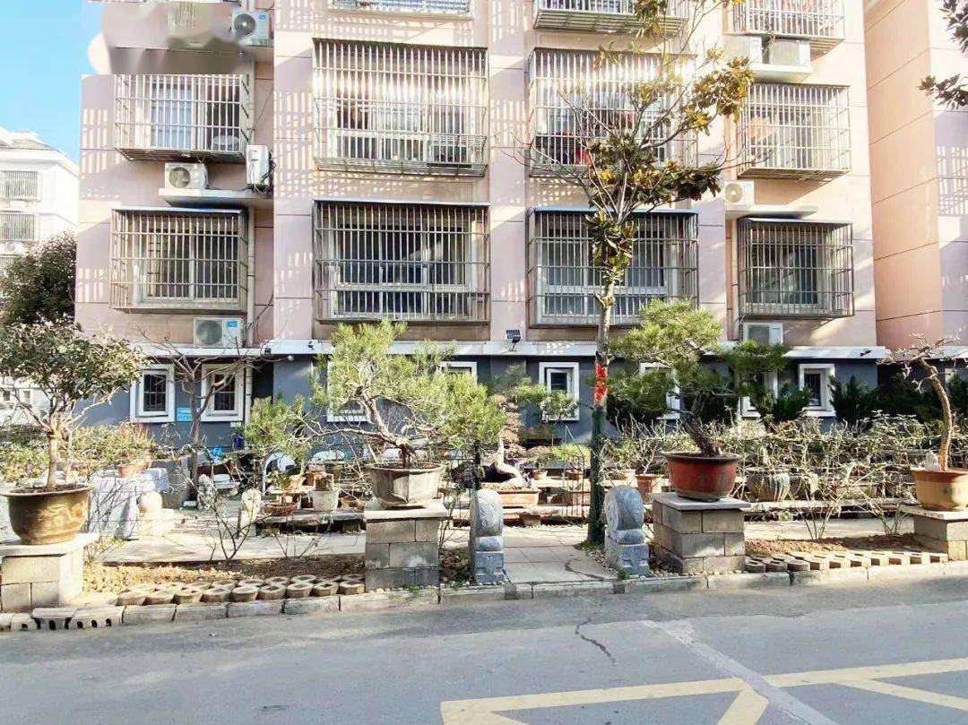 邳州这个小区发现"大问题"_环境_生活_城市花园