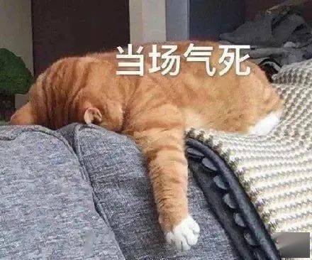 那真把人气死了在法律层面都说"气死不偿命"……还真有人被气死了就是