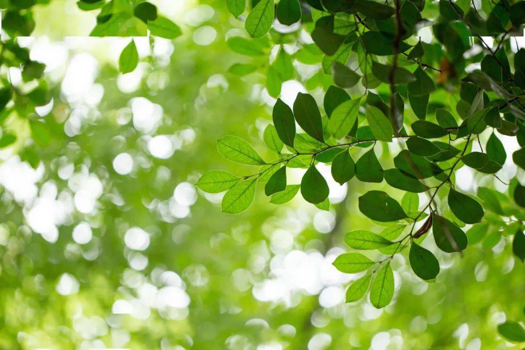 写在前面:因为微信更改了推送规则,推文不再按照时间线显示,如果不点