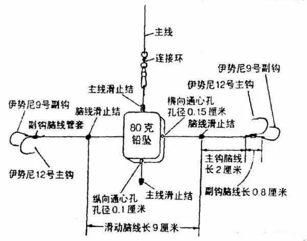 青鱼无铅钓法图解图片