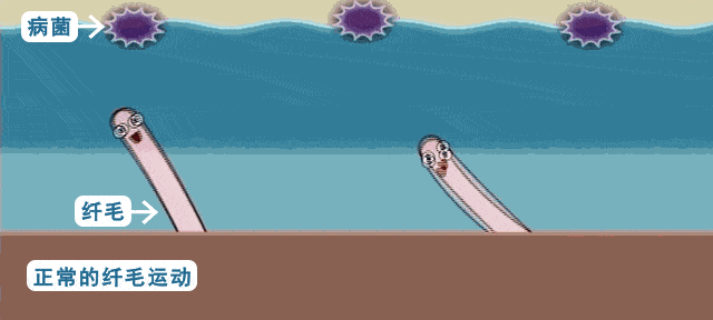 除了流鼻涕打喷嚏以外,这些症状有可能也是鼻炎!