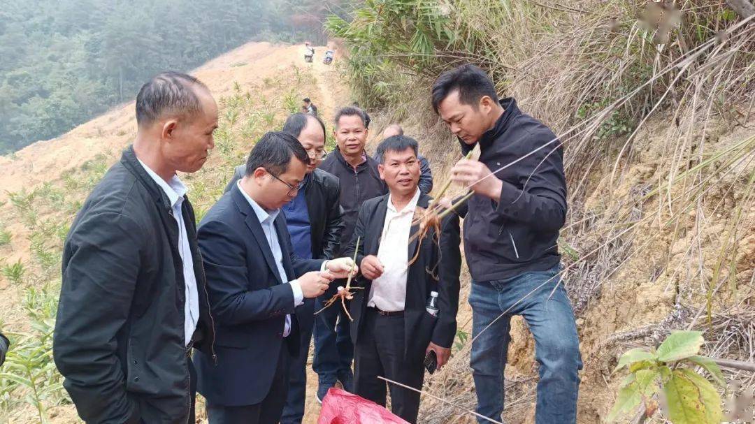 【乡镇人大】寻旺乡:学他山之石 谋发展良策_种植_藤县_产业