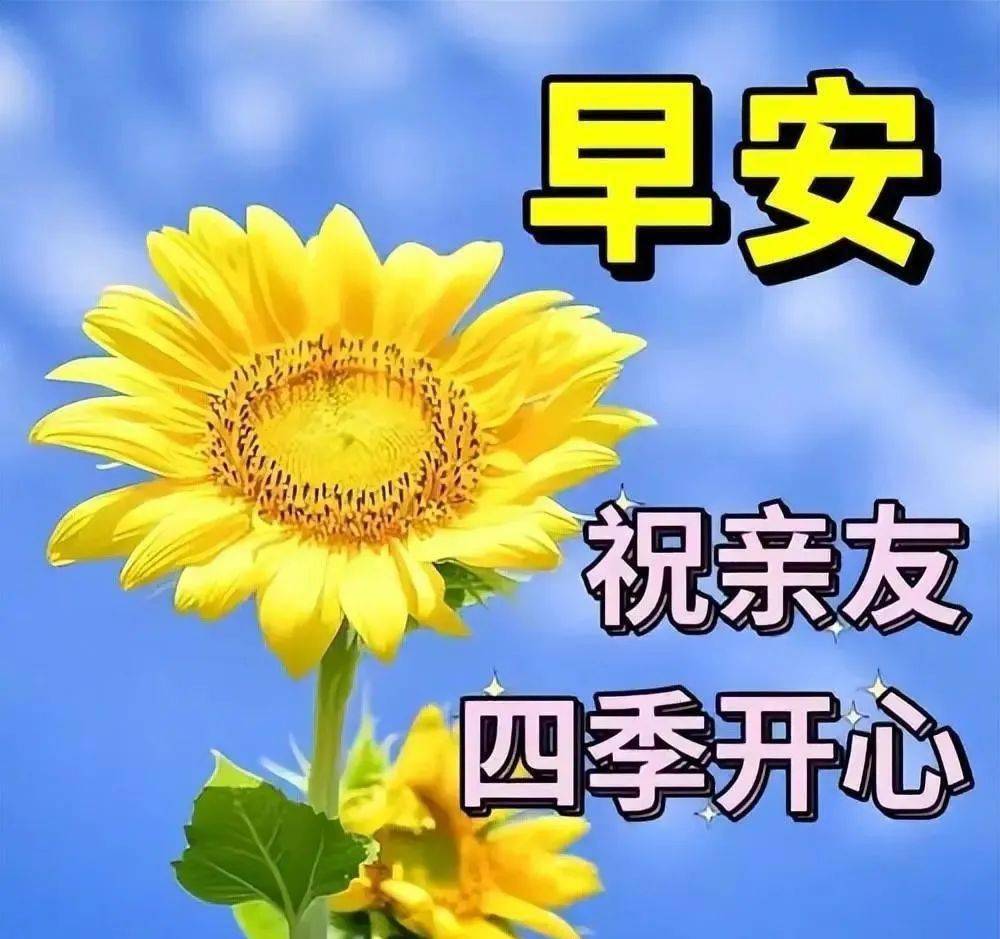 笑,压力全抛无烦恼,刷牙洗脸哼小曲,开开心心一天到,问候不少在今朝