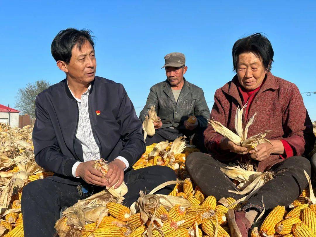 大连市"清风干部"风采 | 履职在黄海之滨——庄河市黑岛镇大于屯村党