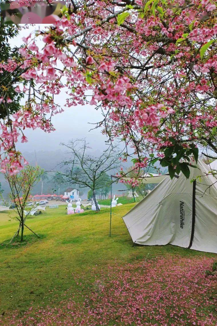 享夏日清凉东山:登岛串岛,解锁沉浸式海岛新玩法东南花都研学实践基地