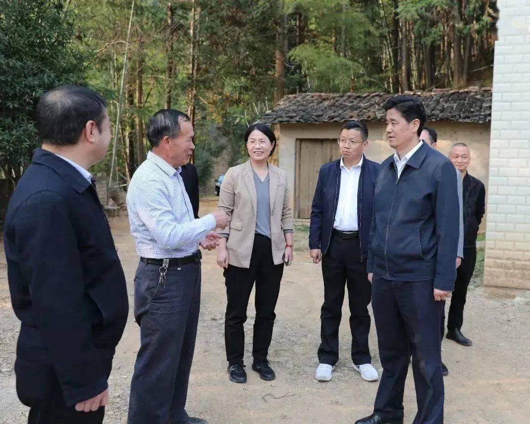 龙岩市领导赴武平县调研林改及对口合作工作