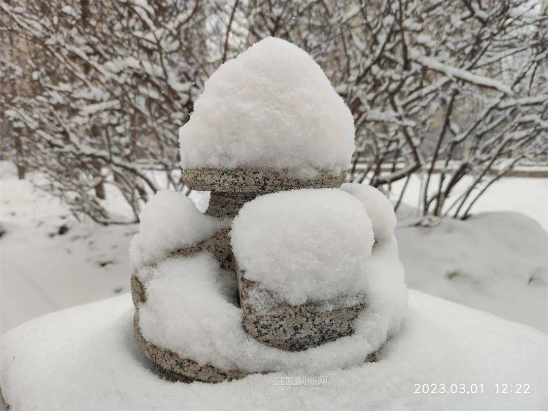 三月的雪花能够有多都雅