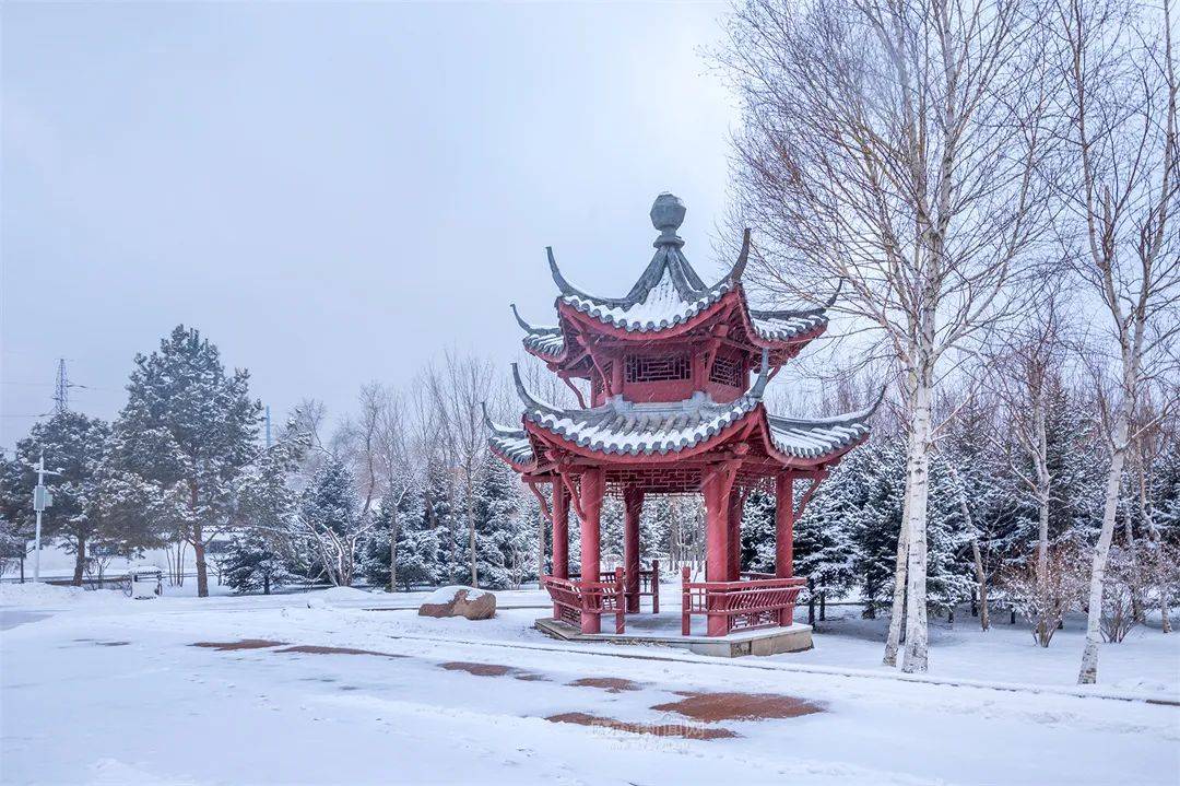 三月的雪花能够有多都雅