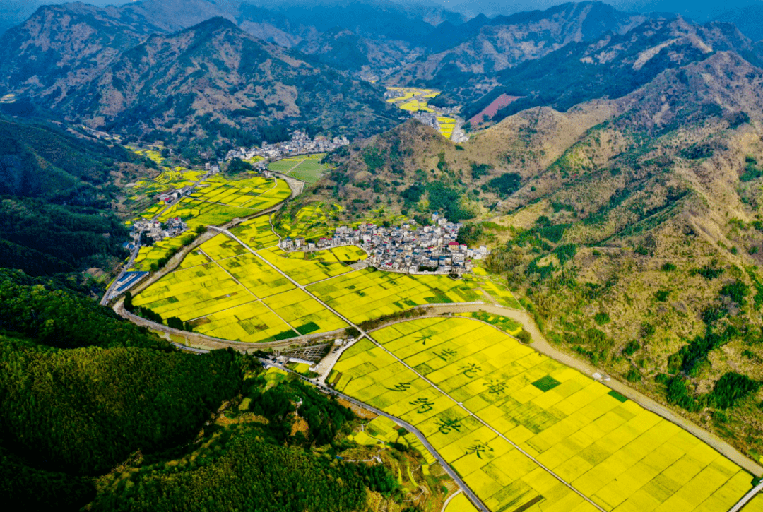 賞花地圖,可導航前往村頭鎮木蘭畈池淮鎮立江