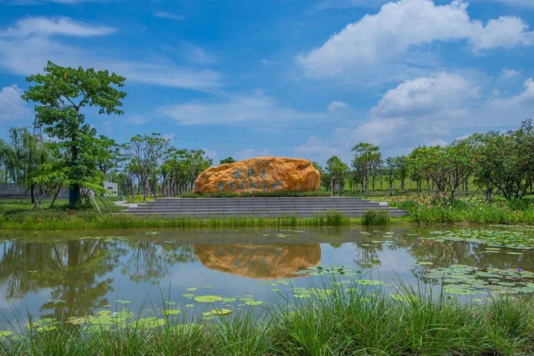 丹灶金沙岛国家湿地公园未来这样建→_生态_建设_保护
