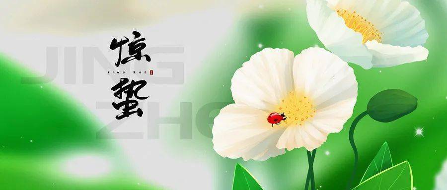 春分花信為一候海棠,二候梨花,三候木蘭我國人民自