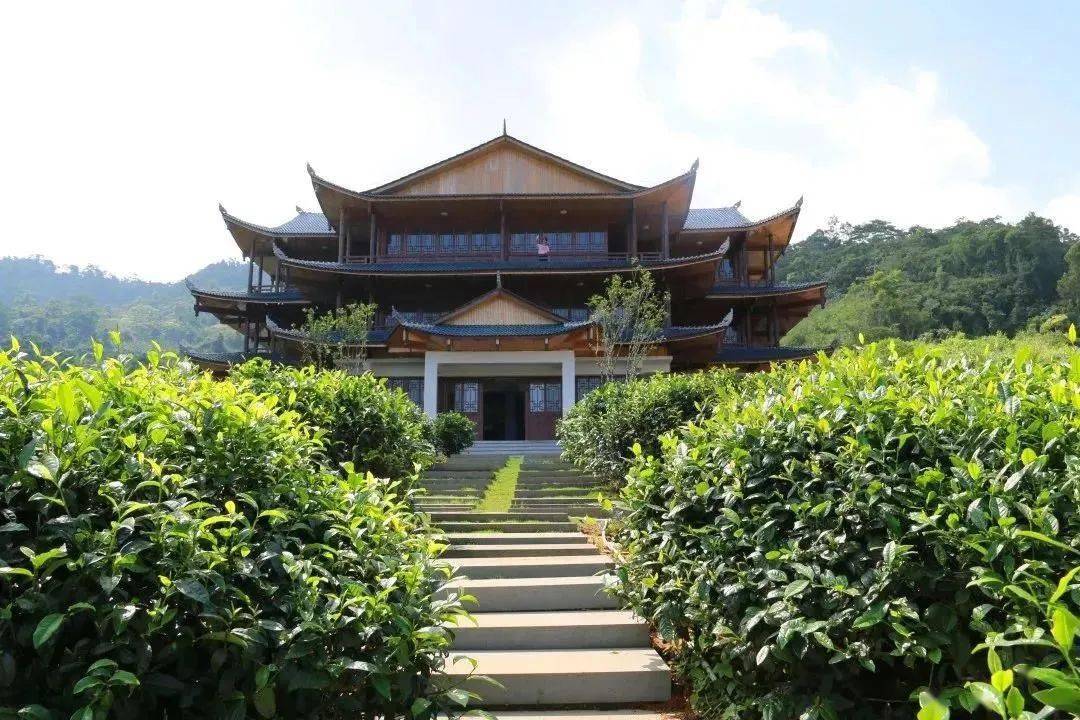 保亭藏不住了!住在森林里,每日美如画~_热带_景区_海南