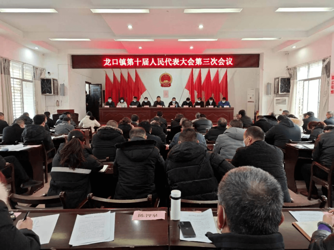 部分荆州市,洪湖市人大代表,各村支部书记,镇直
