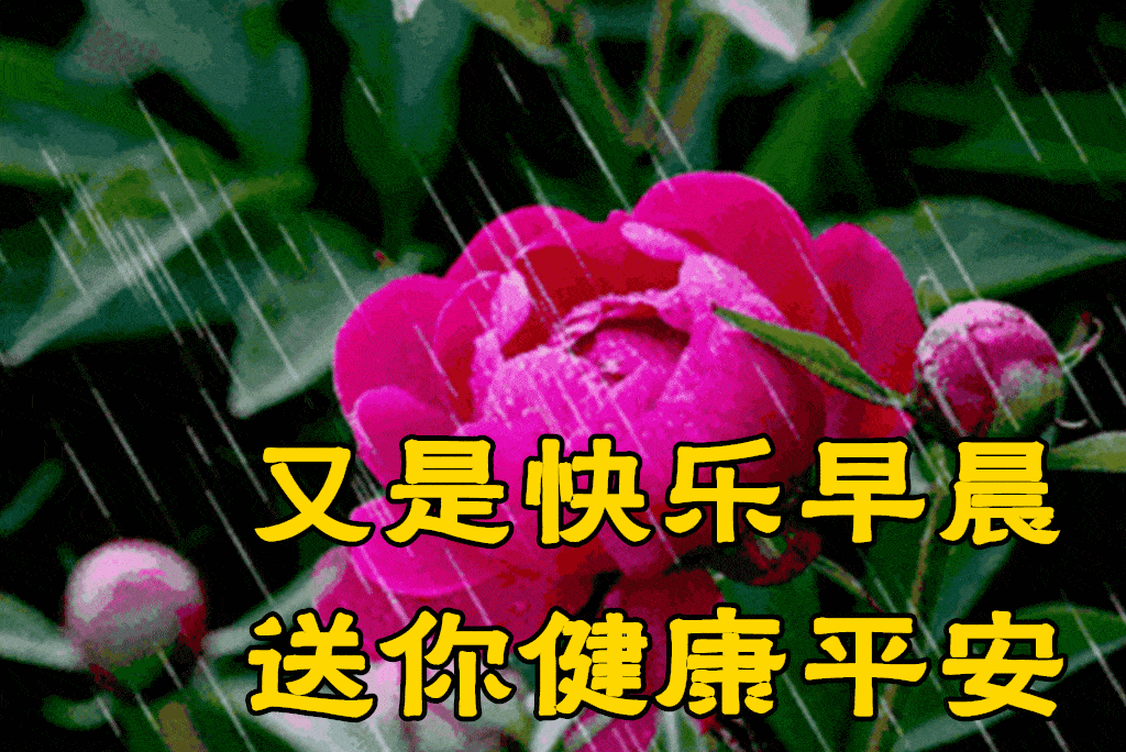 问候_平安_祝福