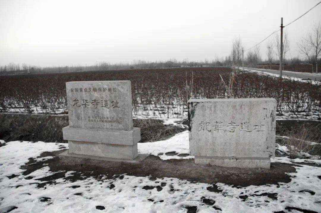 龙华寺遗址位于博兴县城东街道办事处崇德,冯吴,张官村一带,是一处