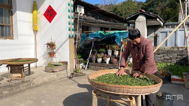 “美丽庭院” 开云体育 开云平台扮靓乡村振兴好风景