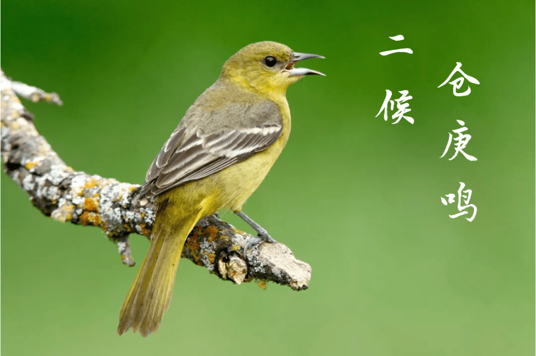 今日驚蟄 | 春雷生,萬物長_仲春_老虎_小人